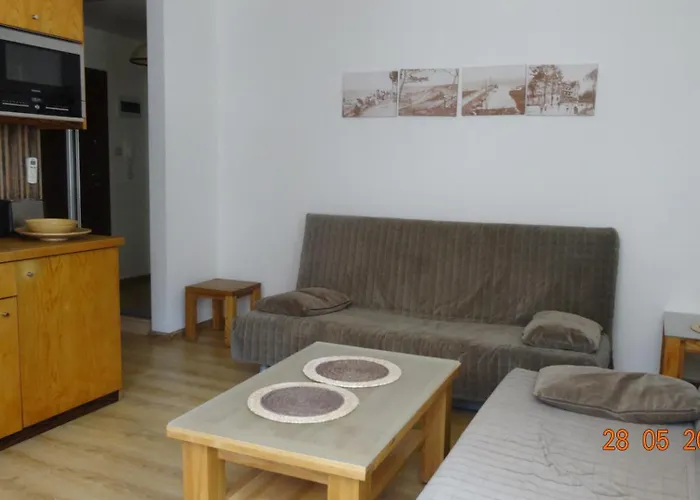 Comfort Kahlberg Apartment